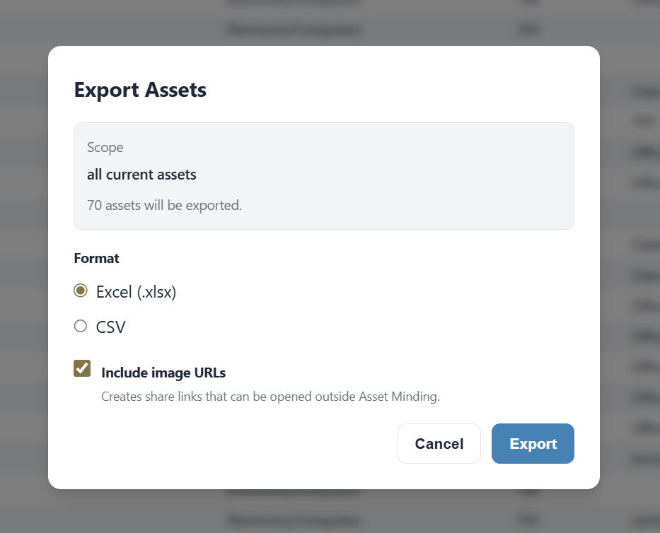 Export Assets modal with Excel, CSV, and optional image URL export